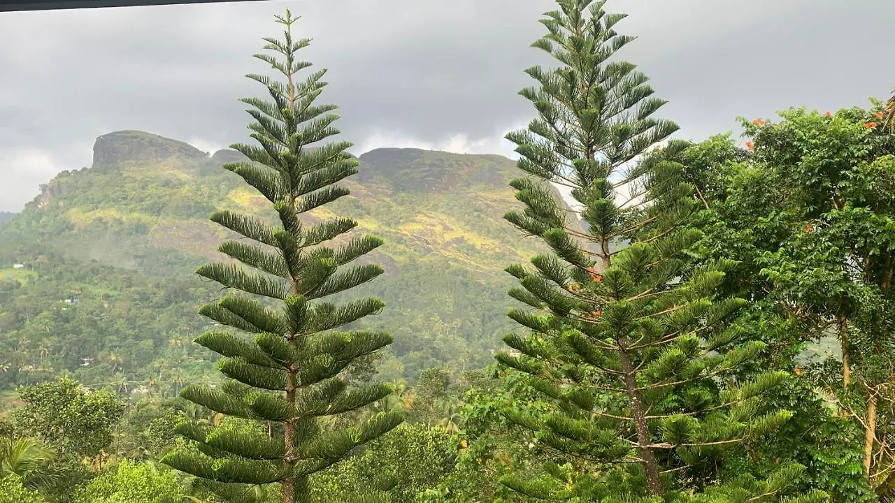 Homestay Sceva'S Garden Home Munnar