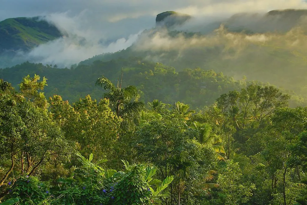Homestay Sceva'S Garden Home Munnar India
