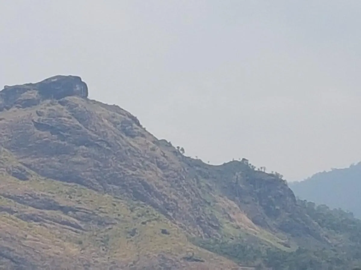 Homestay Sceva'S Garden Home Munnar